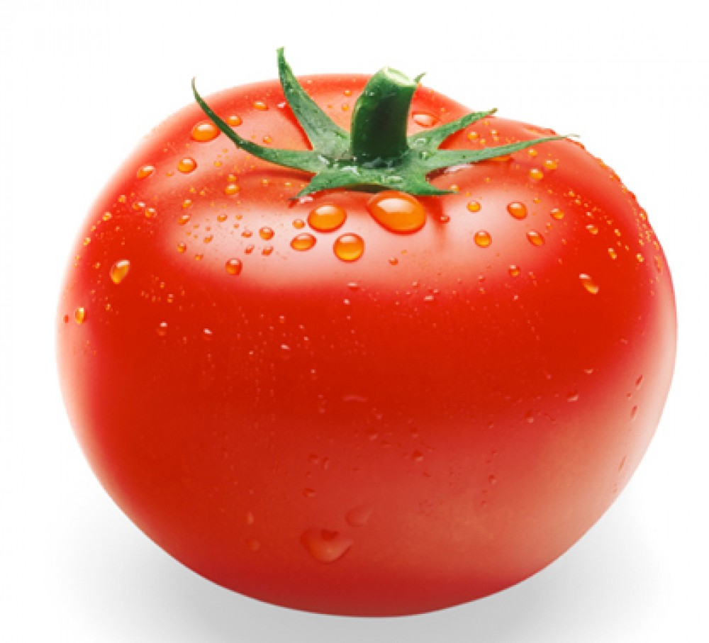 Bệnh thường gặp trên cây cà chua