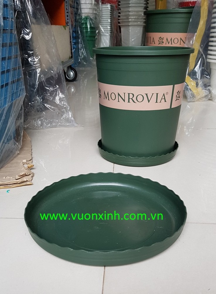 Đĩa chậu Monrovia size 1 (14_16cm)