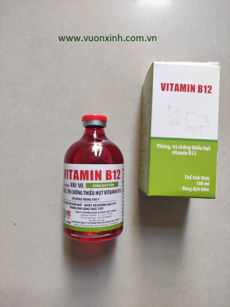 Vitamin B12_ 100ml